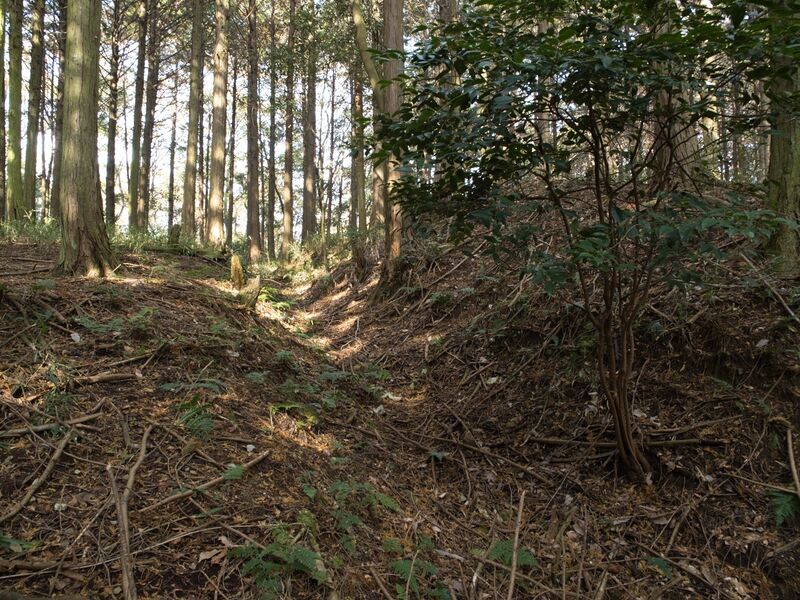 File:Koideyakatakyoto25.jpg