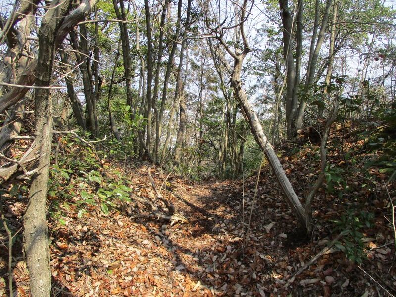 File:MinoDotajou001.jpg