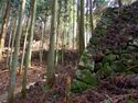 Takatori137.jpg