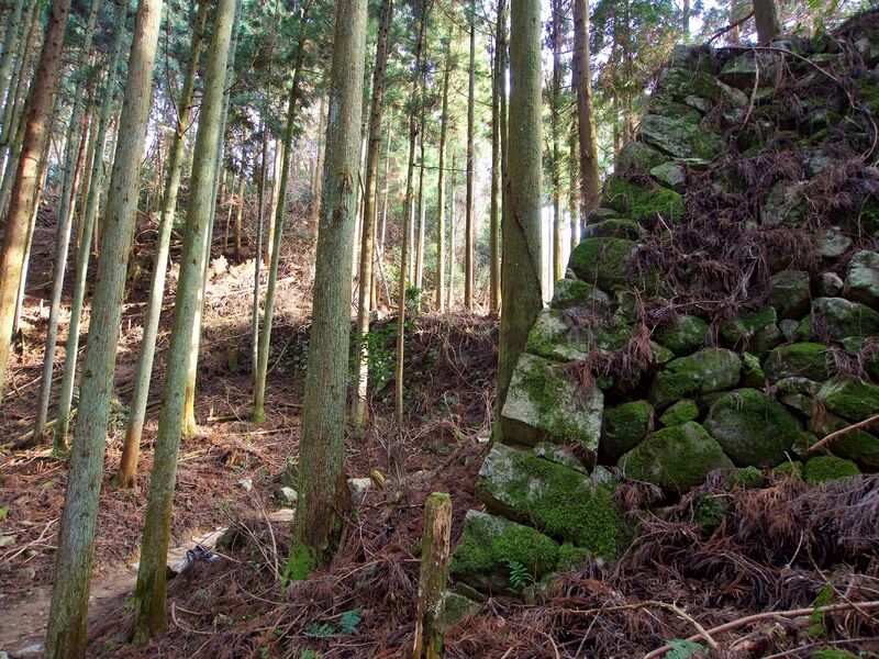 File:Takatori137.jpg