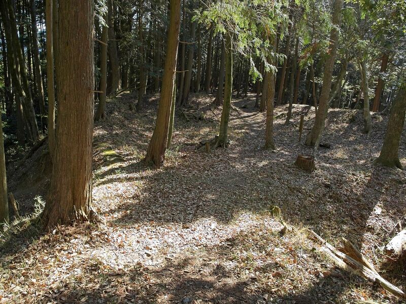 File:Tsuchiyamakoka36.jpg