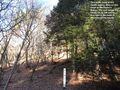 Thumbnail for version as of 19:05, 28 January 2020