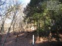 山吹大城06.JPG
