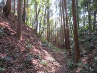 Ishigami (7).JPG