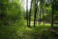 Thumbnail for version as of 13:26, 24 June 2017