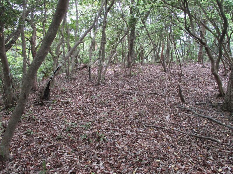 File:MikawaKoganejou (9).jpg