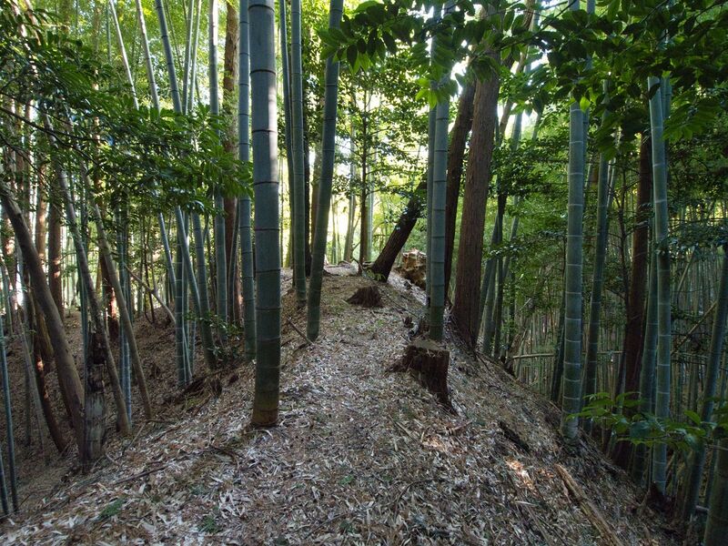 File:Mochizukikoka12.jpg
