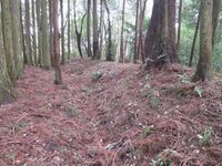 NorisadaKobatajou (12).jpg