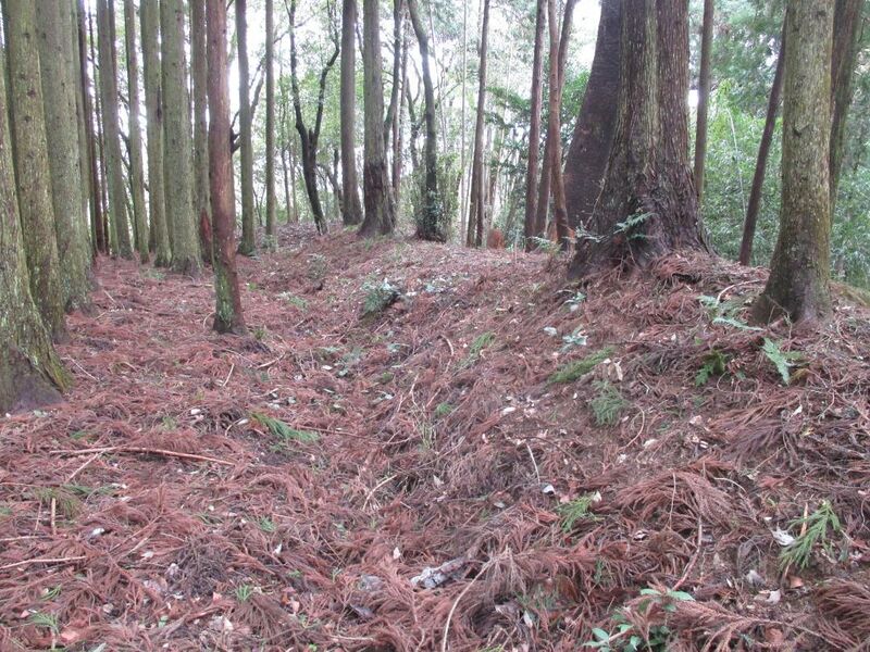 File:NorisadaKobatajou (12).jpg