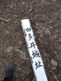 Tataijou (5).JPG