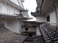 Thumbnail for version as of 00:26, 12 May 2020