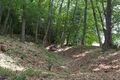 Thumbnail for version as of 13:25, 24 June 2017