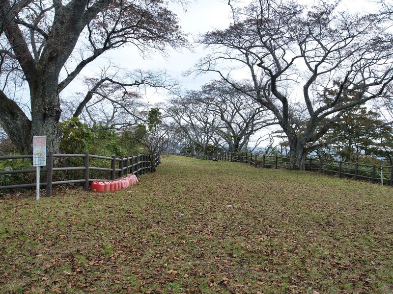 File:Iwakiri12.jpg