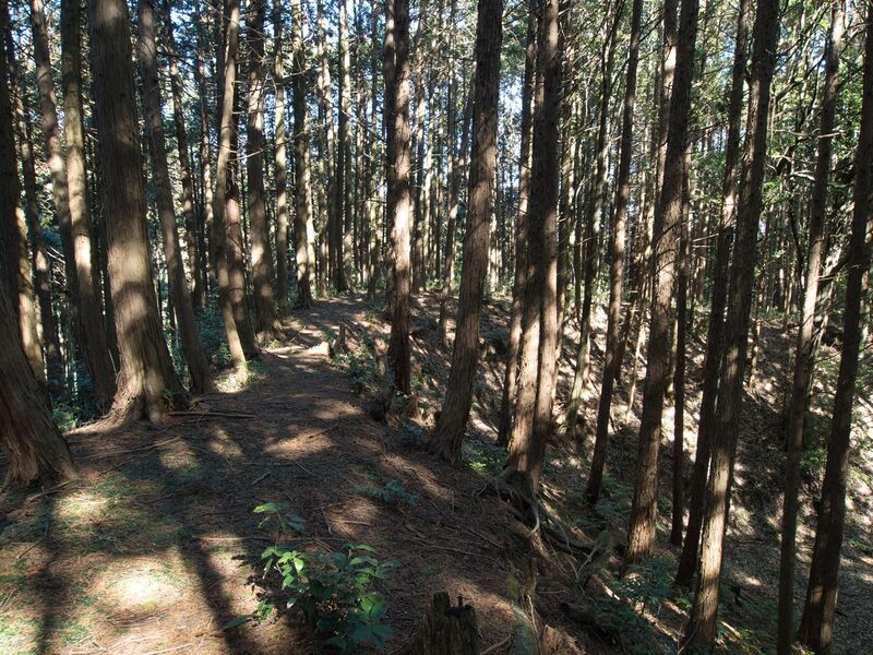 File:Kokashingushi22.jpg