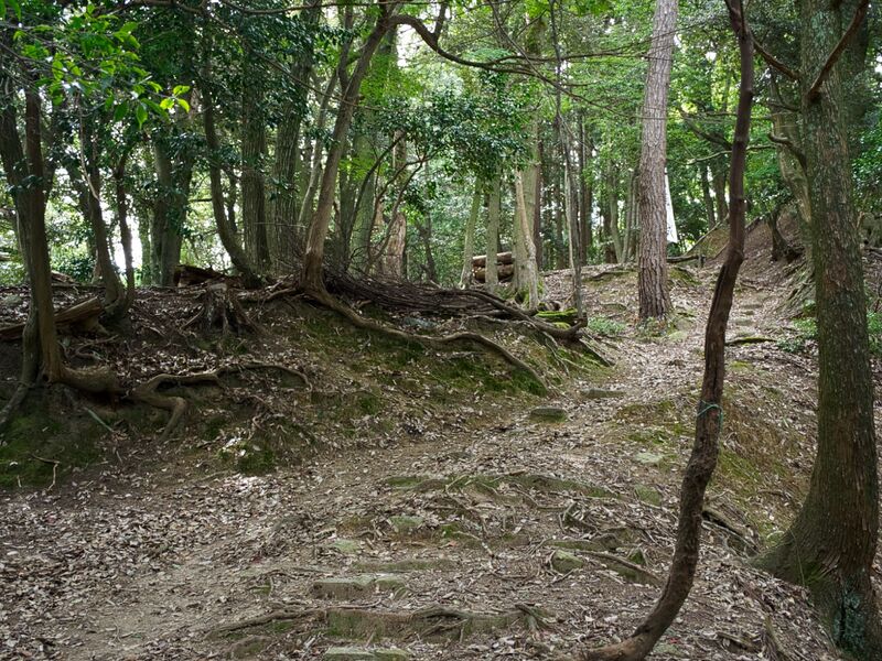 File:Kumagawacastle9.jpg