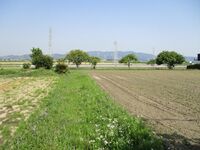 MikawaNagaijou (4).jpg