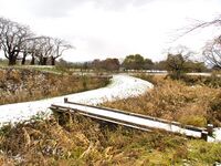 Namioka27.jpg