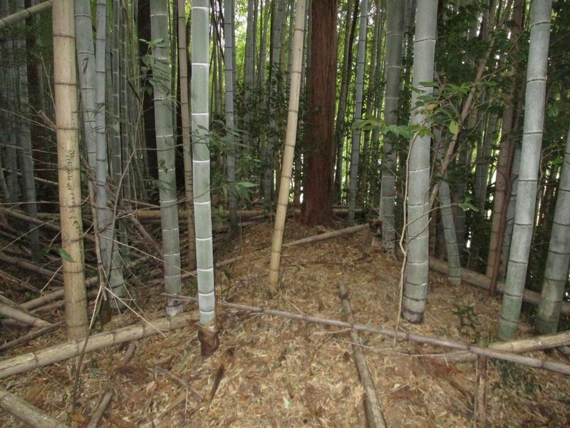 File:NishiHirosejou007.jpg