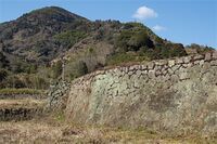 Ojima17.jpg