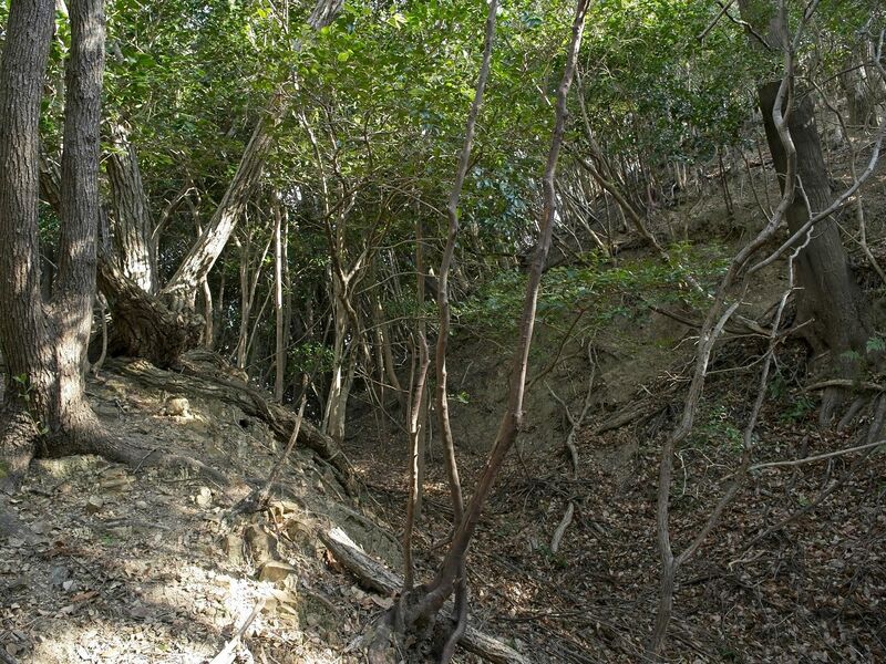 File:Tedori38.jpg