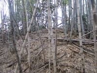 Ukigaijou008.jpg