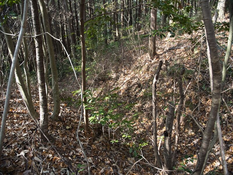 File:Inokurakyoto5.jpg