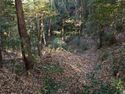 Kaseyamakyoto51.jpg