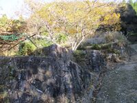 MikawaDojou (6).jpg