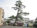 MikawaToroJinya (2).JPG