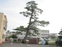 MikawaToroJinya (2).JPG