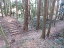 MinamiSakaidejou (9).JPG