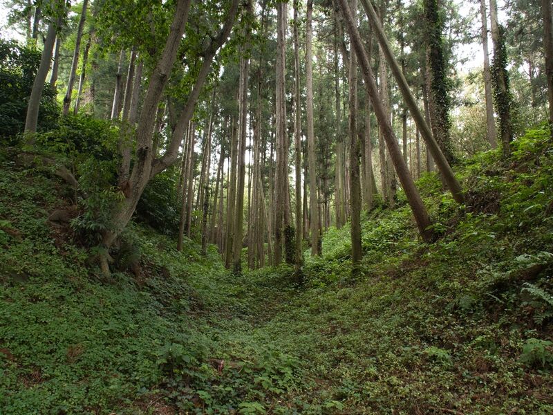 File:Shiroi19.jpg