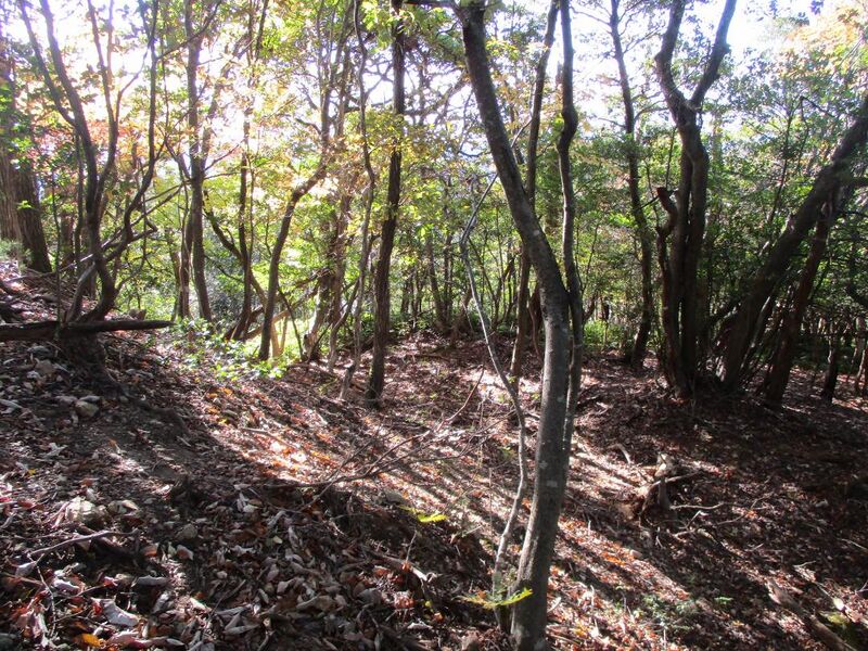 File:Shoubudakejou002.jpg