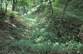 Thumbnail for version as of 13:32, 24 June 2017