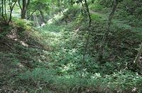 Tsumago8.jpg
