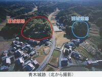 Aokikokaphoto.jpg