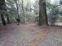 ChikuzenSakatajou (11).JPG
