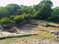 Gifu56.jpg