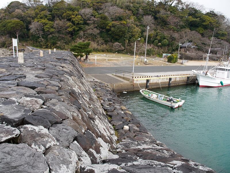 File:Hagiebisugahana3.jpg