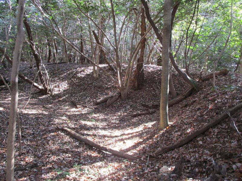File:Hobonishijou018.jpg