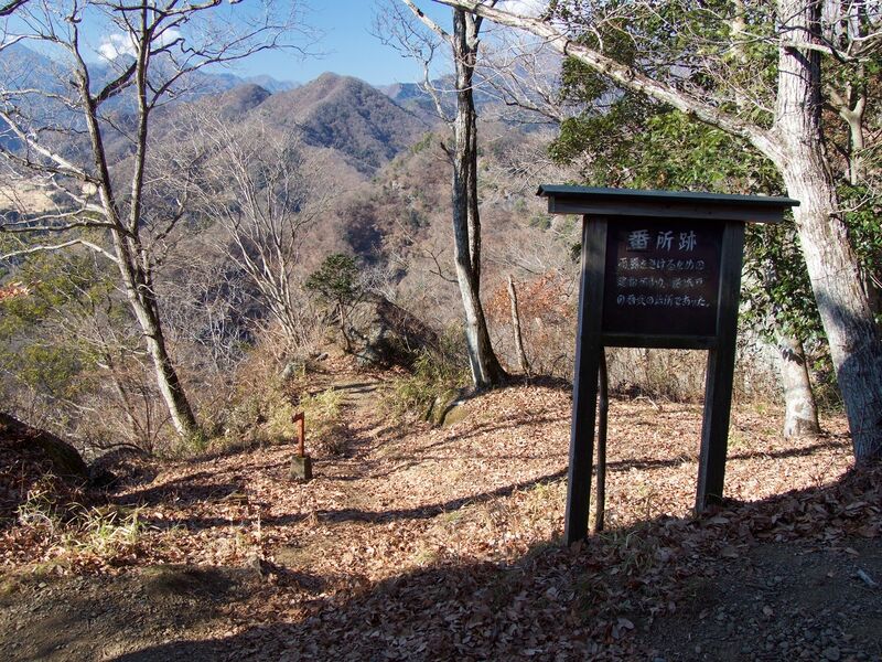 File:Iwadono35.jpg