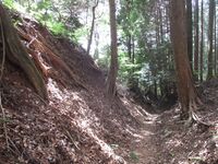 MikawaKameyamajou (34).JPG