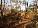 MurakamiTsubamejou (2).JPG