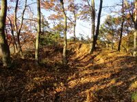 MurakamiTsubamejou (2).JPG