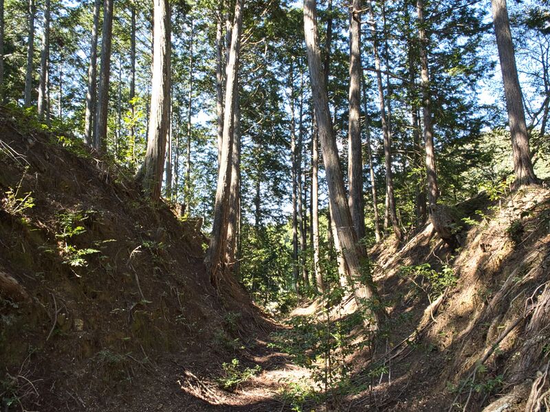 File:Nogeyakata11.jpg