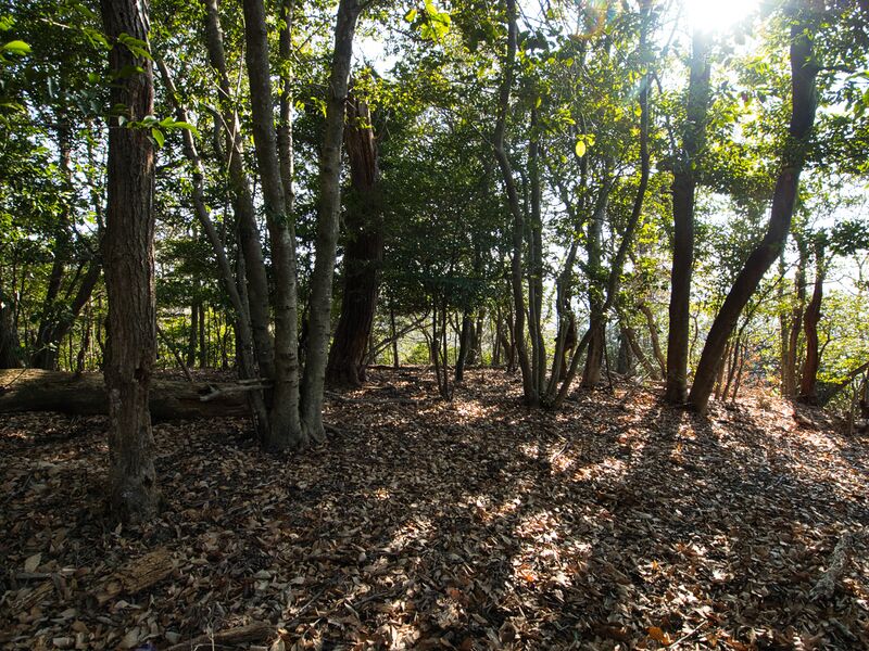 File:Shogunyama14.jpg