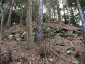 Tsubokasayama24.jpg