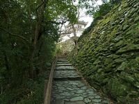 Wakayama11.jpg