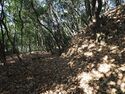 Yamana21.jpg
