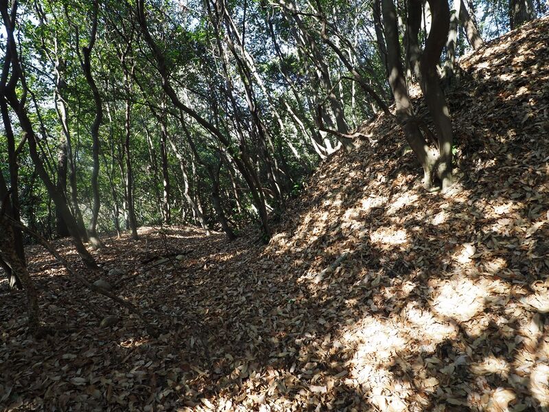 File:Yamana21.jpg